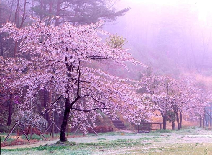 메이플스토리 월드를 빼닮은 아름다운 실제 풍경들 모음!! | 인스티즈
