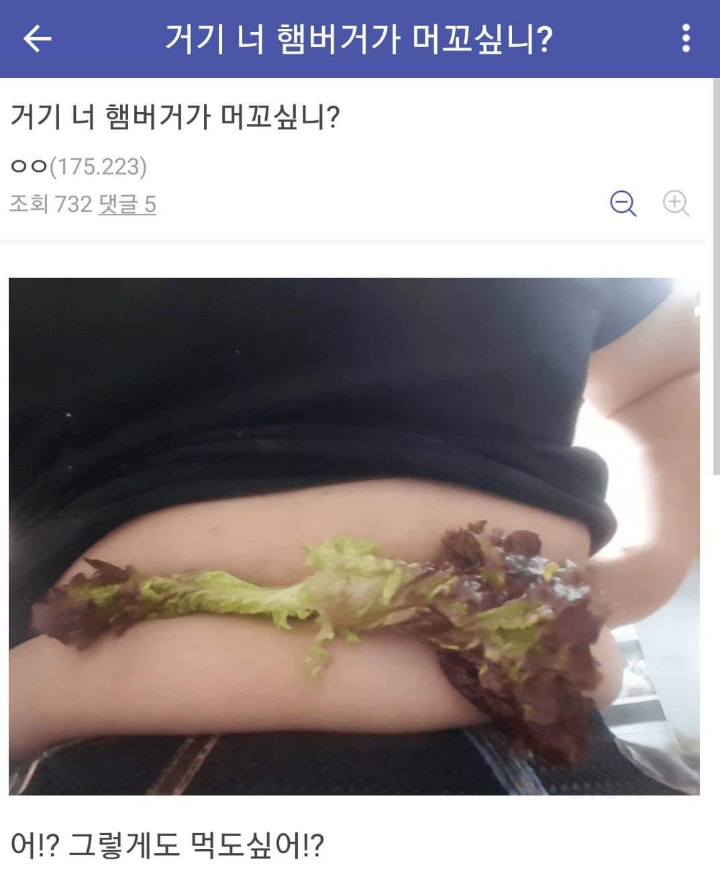 미쳐가는 다이어트 갤러리 | 인스티즈