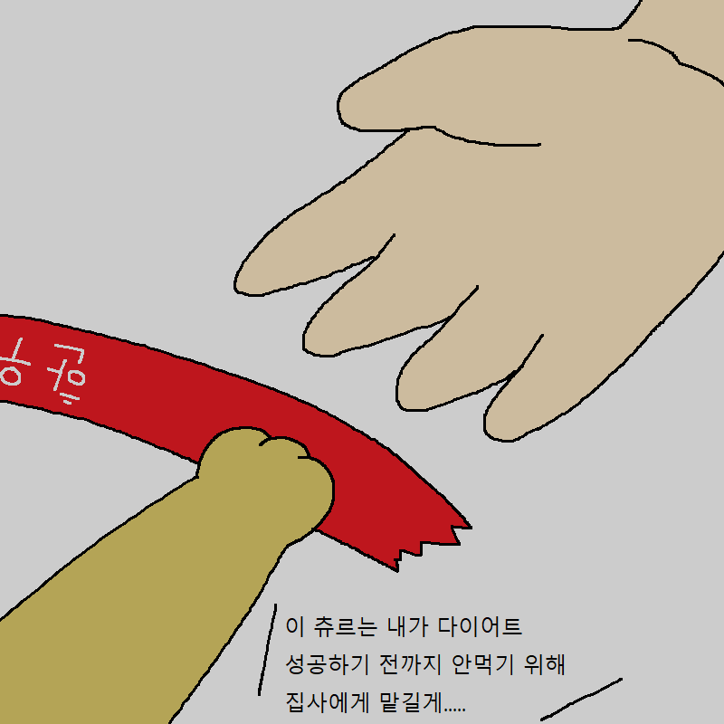 고양이랑 같이 다이어트하는 만화 | 인스티즈