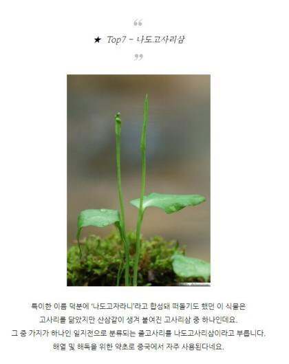 특이한 식물 이름 | 인스티즈