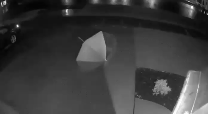 걸어다니는 우산.gif | 인스티즈