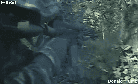 UDT/SEAL 실제 훈련짤.gif | 인스티즈