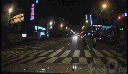 목숨 걸고 일하는 경찰.gif | 인스티즈