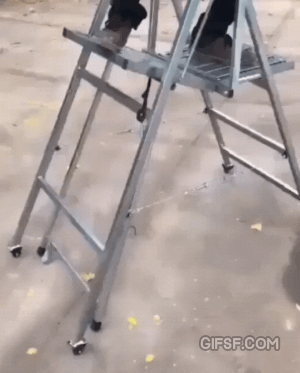 이동식 사다리.gif | 인스티즈