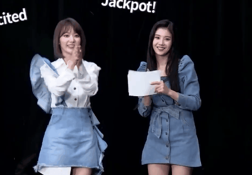 선배님들 춤추는 경력직 신입 사쿠라 | 인스티즈