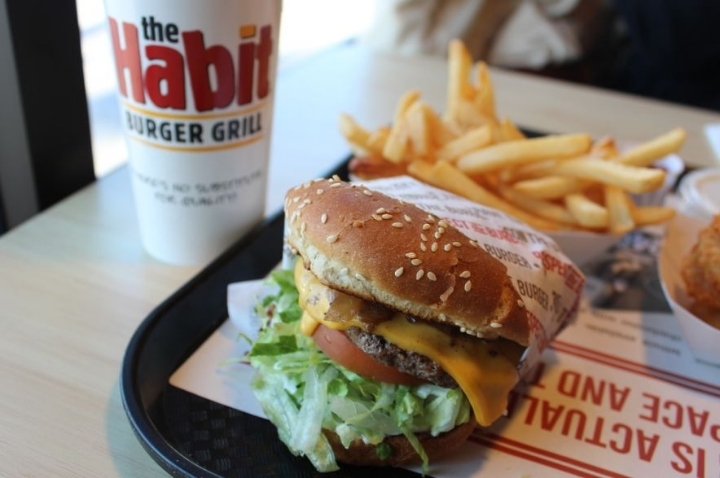 한국에 정식 체인점으로 들어왔으면하는 미국 햄버거 브랜드는? | 인스티즈