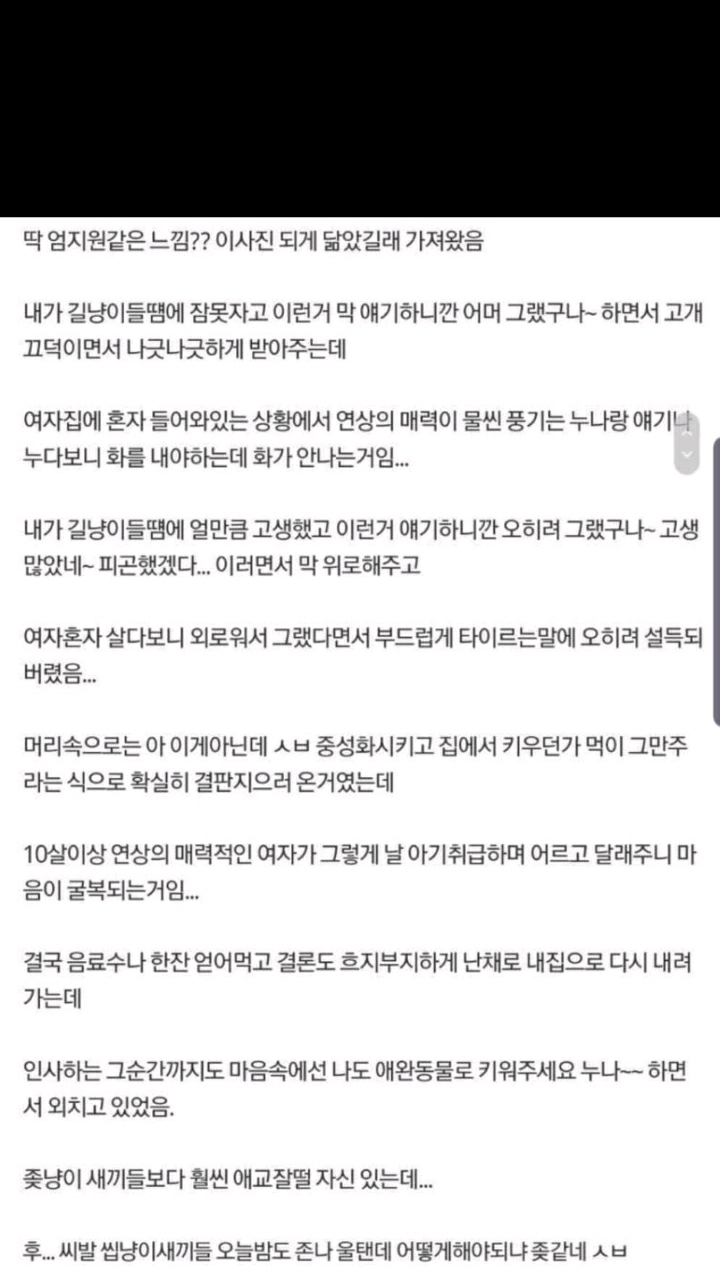 윗층사는 캣맘이 너무이뻐서 항의를 못하겠다 | 인스티즈