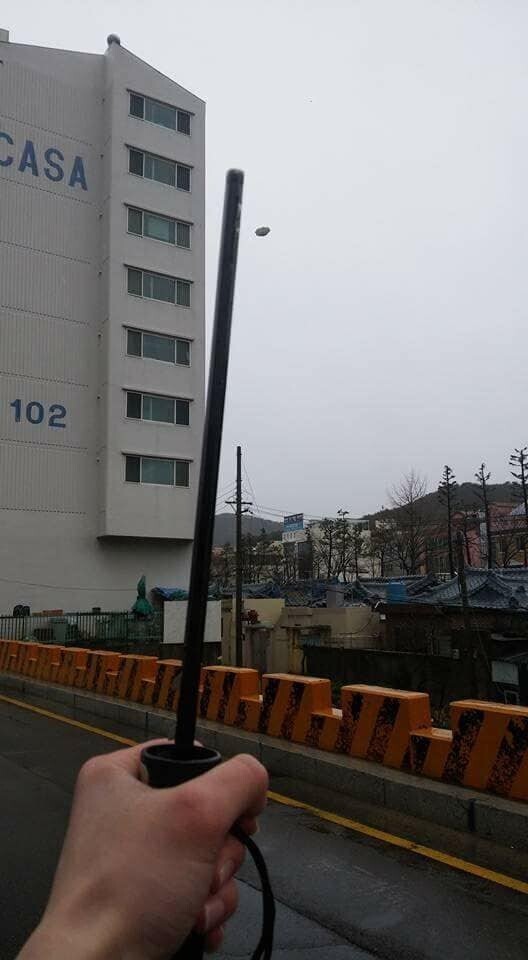 비오는날 똑배기 날라감 | 인스티즈