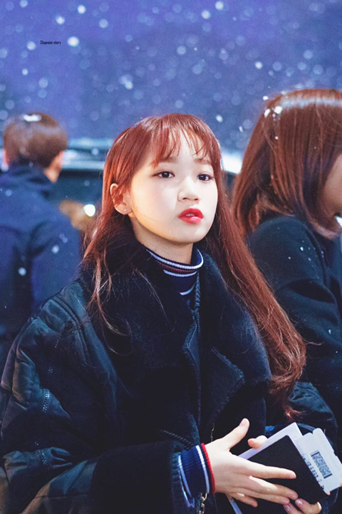 하루 한번 아이즈원 짤 | 인스티즈