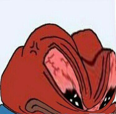 우리 개구리 페페 모음 | 인스티즈