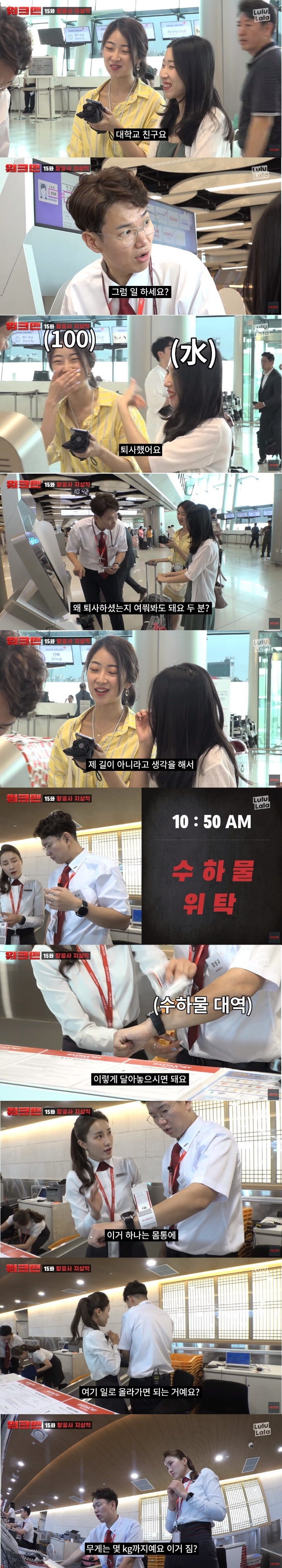 항공사에서 일하는 장성규 ㅋㅋㅋㅋㅋㅋㅋㅋㅋㅋ | 인스티즈