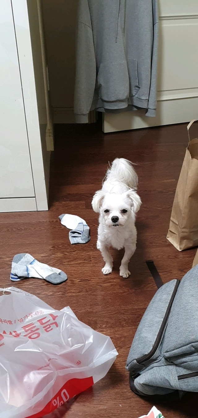 치킨 시키니까 자다가 옴.jpg | 인스티즈