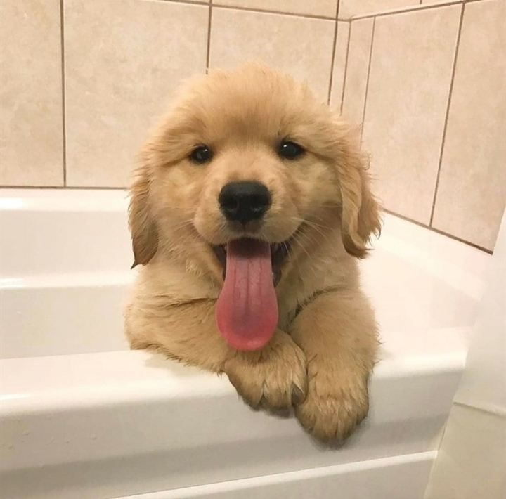 아기인절미 | 인스티즈