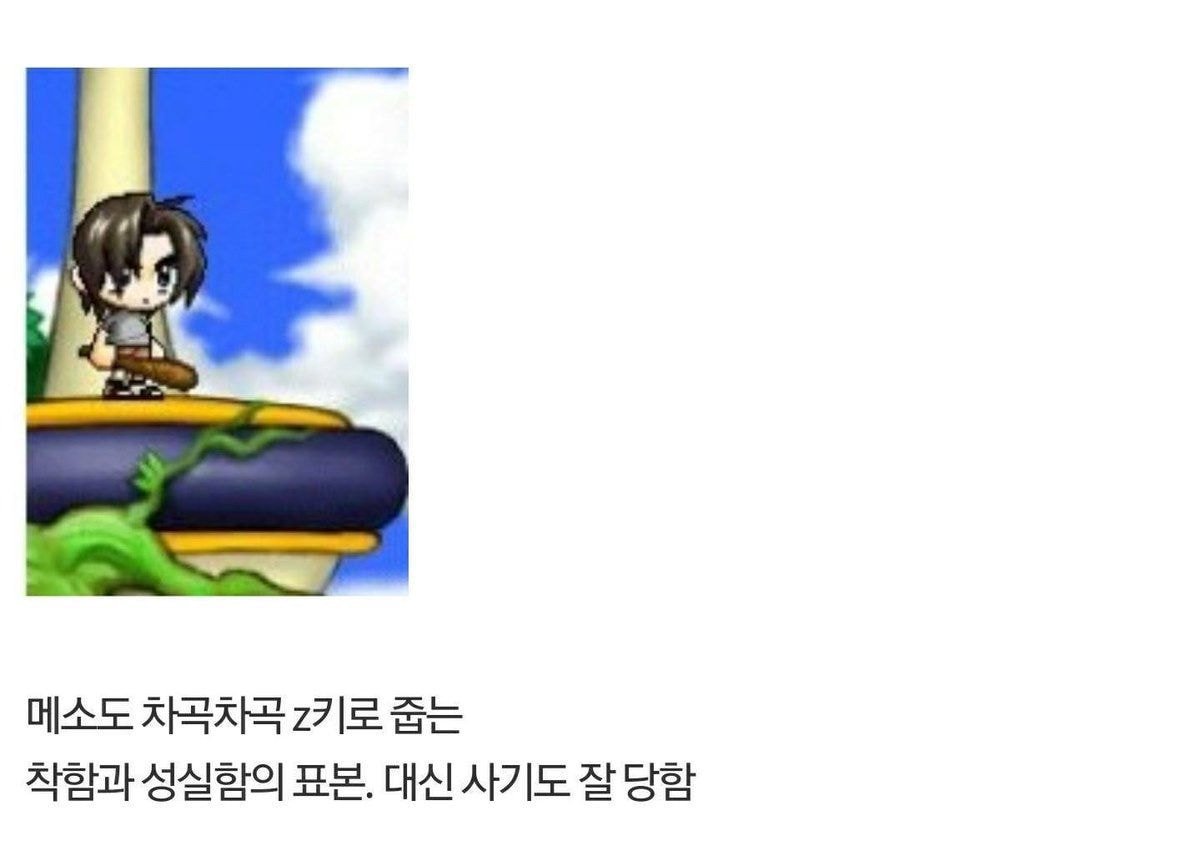 ㄹㅇ어렸을적 공감가는 메이플스토리 관상학.....jpg | 인스티즈