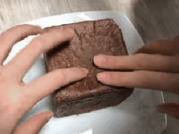 ㅈ냥이 x끼를 키우면 안되는 이유 | 인스티즈