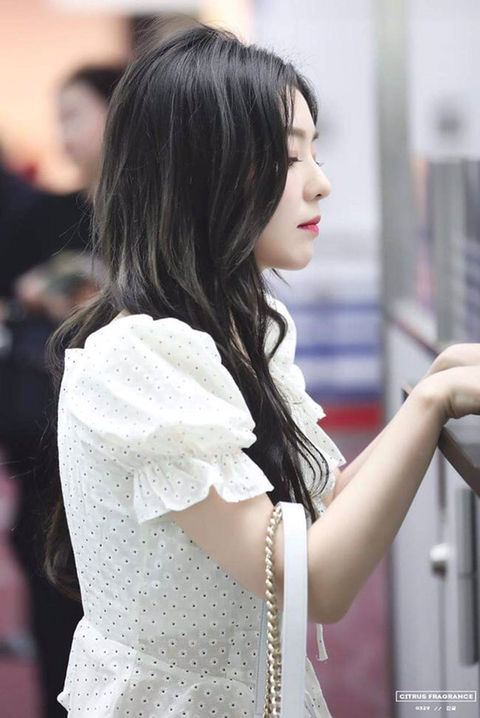 입국심사 기다리는 아이린 | 인스티즈