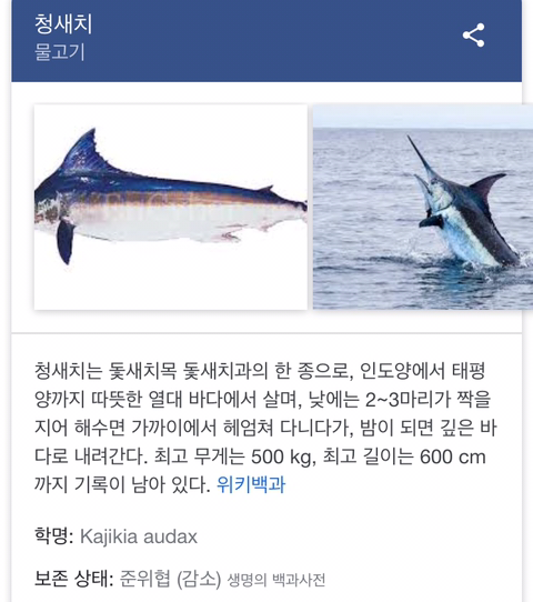 청새치에 대해 알아보자 | 인스티즈