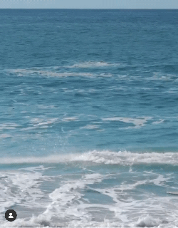 서핑하고싶어지는 짤 | 인스티즈