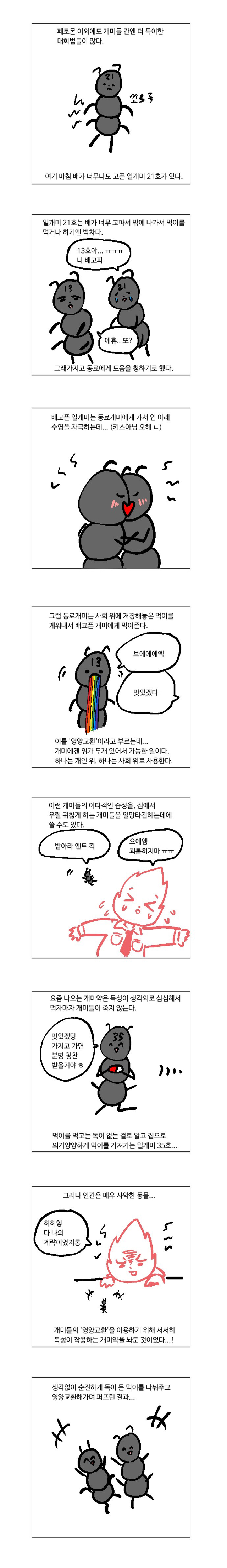 개미와 페로몬 이야기 | 인스티즈