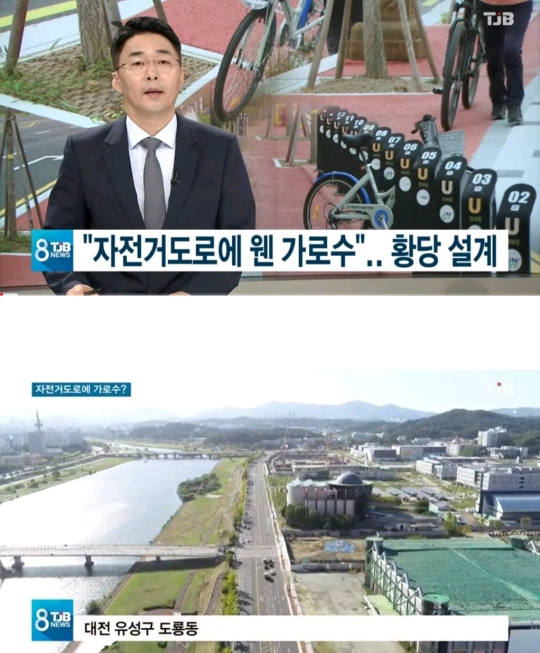 자전거 도로가 뭔지 모르는듯한 대전 공무원.jpg | 인스티즈