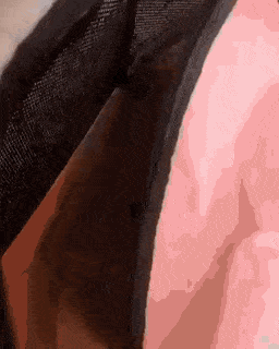 심장 박살내는 아깽이들.gif | 인스티즈