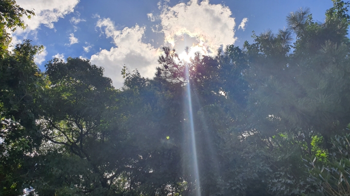 부산 데이트코스 고즈넉한 분위기의 정원이 있는 한정식집 | 인스티즈