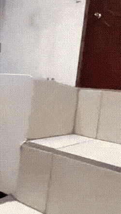 개는 절대 안 된다고 하셨던 아빠...gif | 인스티즈