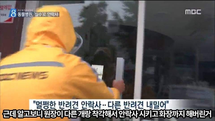 반려견 최악의 사건.jpg | 인스티즈