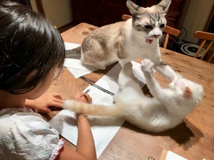 색칠공부에 집중 할 수 없는 이유 | 인스티즈