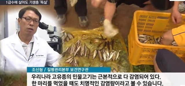 1급수에 사는 민물고기라도 기생충 천지 (혐오주의) | 인스티즈