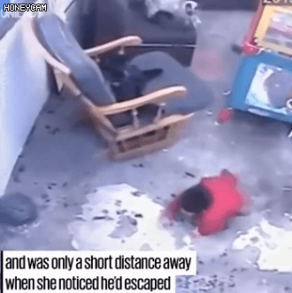 몸을 던져 아기를 살린 고양이.gif | 인스티즈