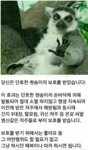 홍대 골목에서 발견된 저주인형 (공포) | 인스티즈