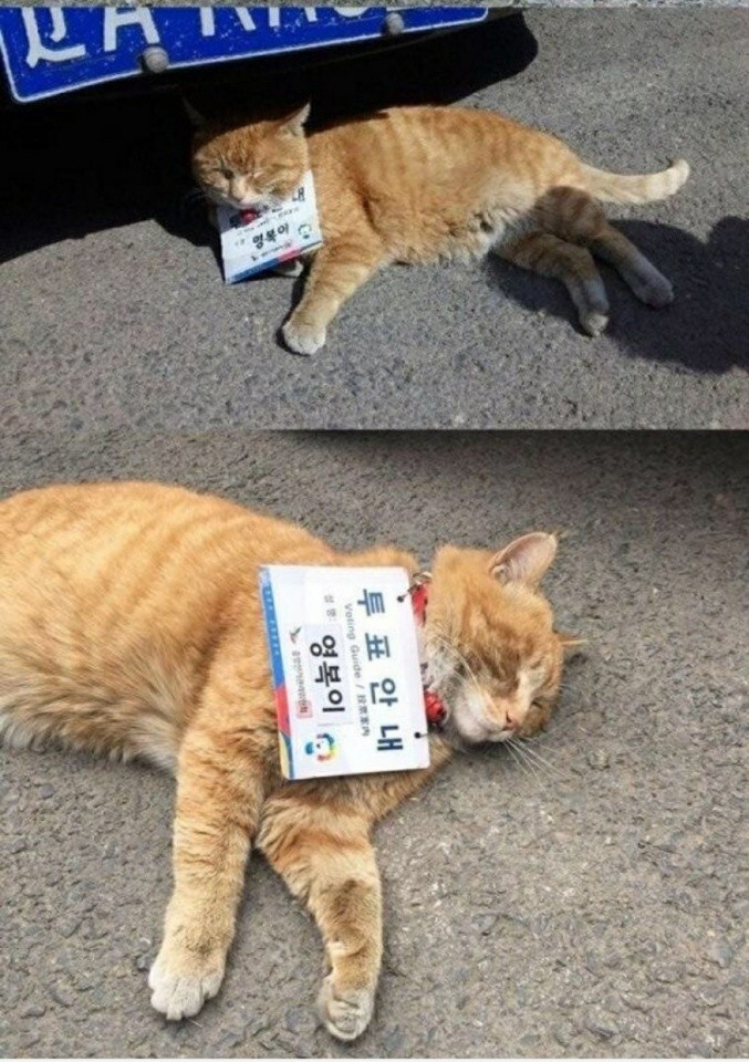 대놓고 근무태만 중인 공무원.jpg | 인스티즈