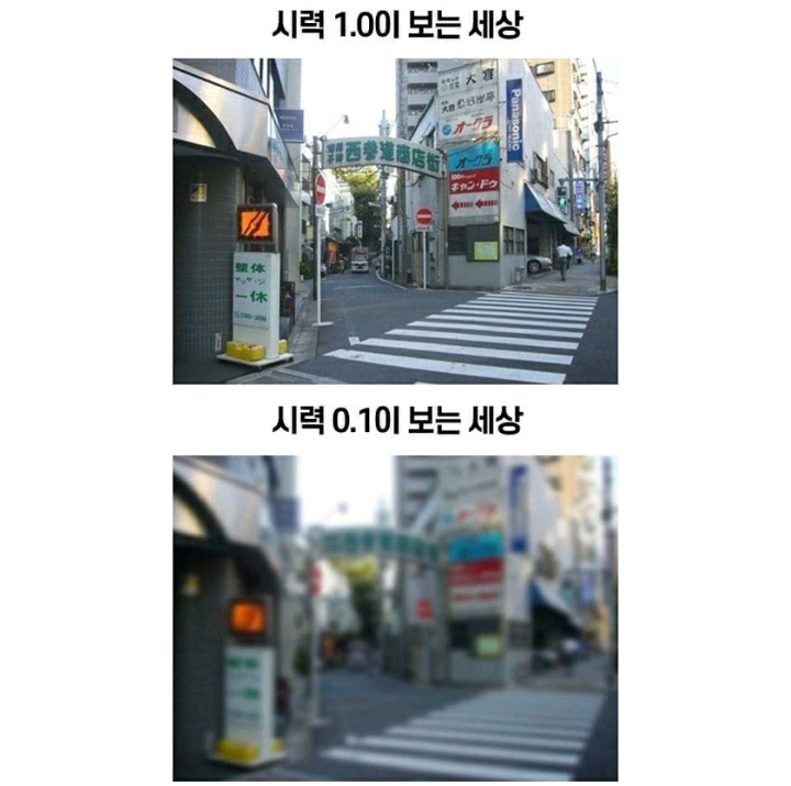 시력 1.0과 0.1의 차이 | 인스티즈
