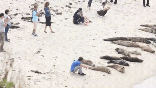 이 인간 뭐니.gif | 인스티즈