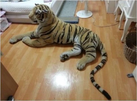 중고나라 호랑이 인형 판매 사유.jpg | 인스티즈