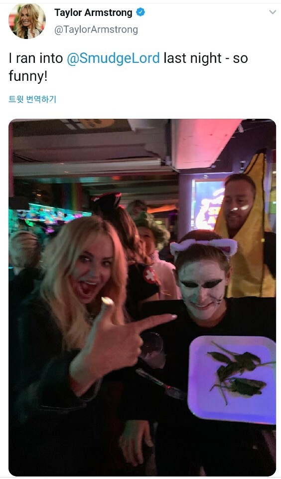 고양이에게 소리지르는 여자 근황 | 인스티즈