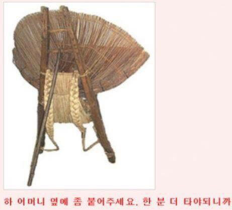 웃대 호쌍새 모음 | 인스티즈