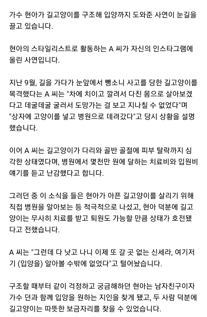 병원비만 몇천만 원인데..현아가 뺑소니 당한 '길냥이' 구조해 입양까지 도와준 사연 | 인스티즈