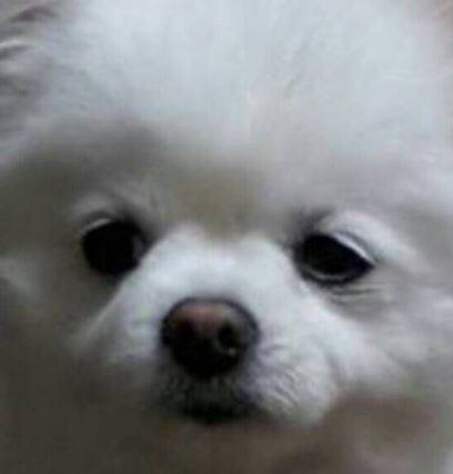???: 야야 그거 한입 먹는다고 죽냐 ㅋㅋㅋ | 인스티즈