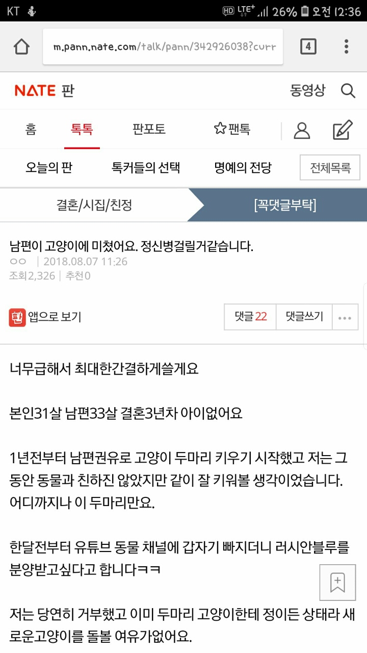 남편이 고양이한테 미쳤어요.jpg | 인스티즈