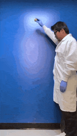 요즘 나무 근황 | 인스티즈