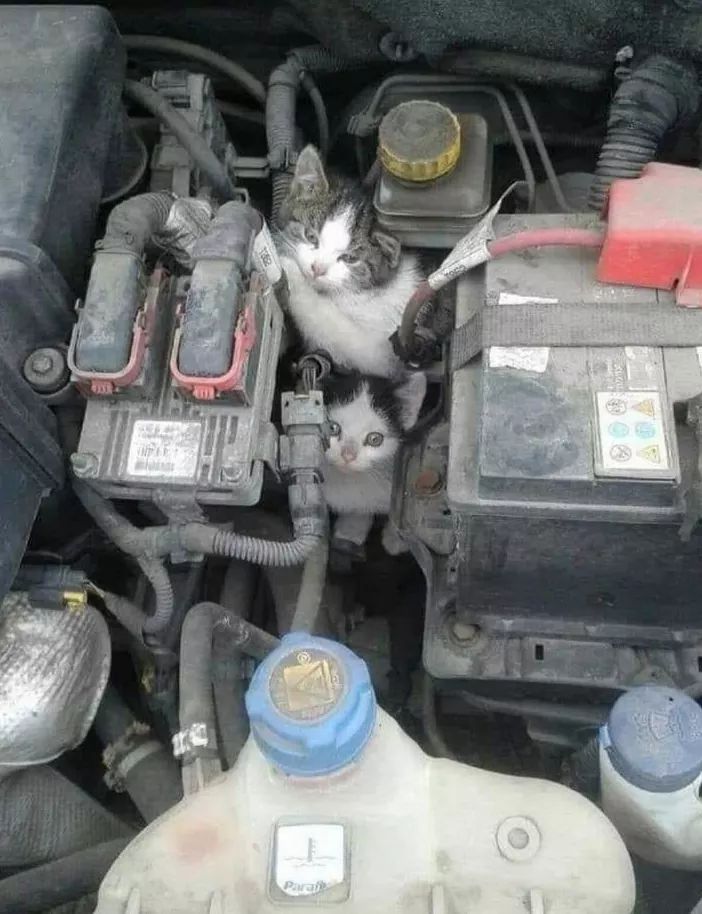 겨울철 자동차 시동 조심해야하는 이유 | 인스티즈