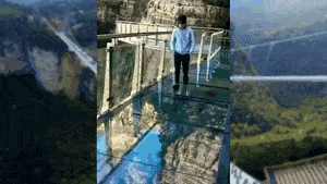 대륙의 안전한 스카이워크 .gif | 인스티즈