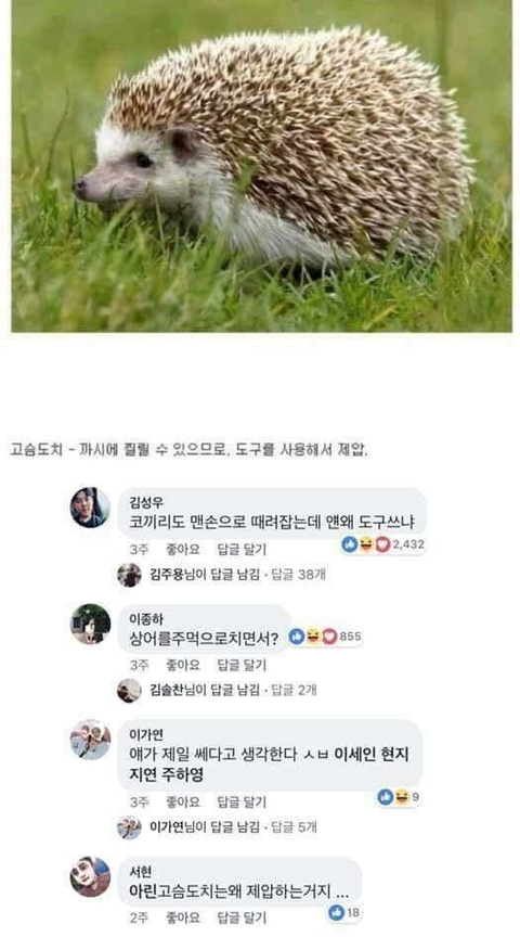 동물과 싸워서 이기는 방법ㅋㅋㅋㅋㅋㅋㅋㅋㅋㅋㅋㅋㅋㅋㅋㅋ | 인스티즈