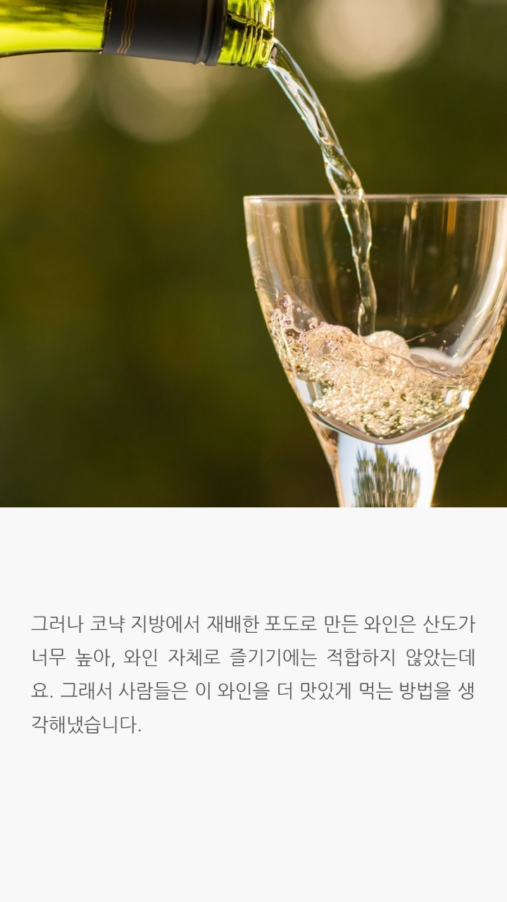 전세계적으로 인정받은 세가지술에 얽힌 이야기 | 인스티즈