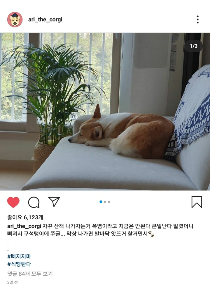 인스타그램 이용자들이 짜증난 이유 | 인스티즈