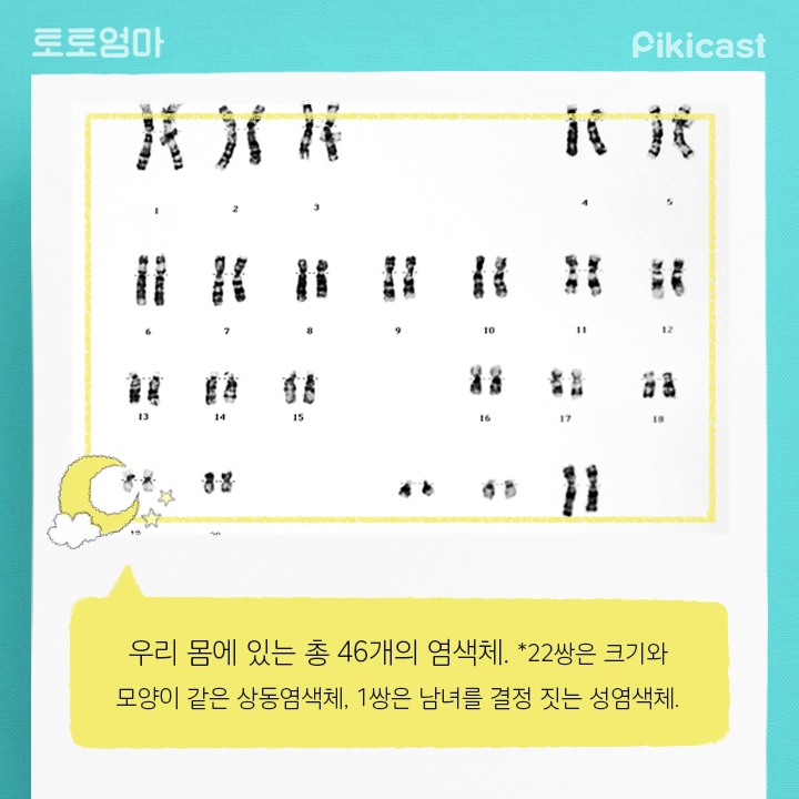 내 아이의 키를 예측하는방법 | 인스티즈