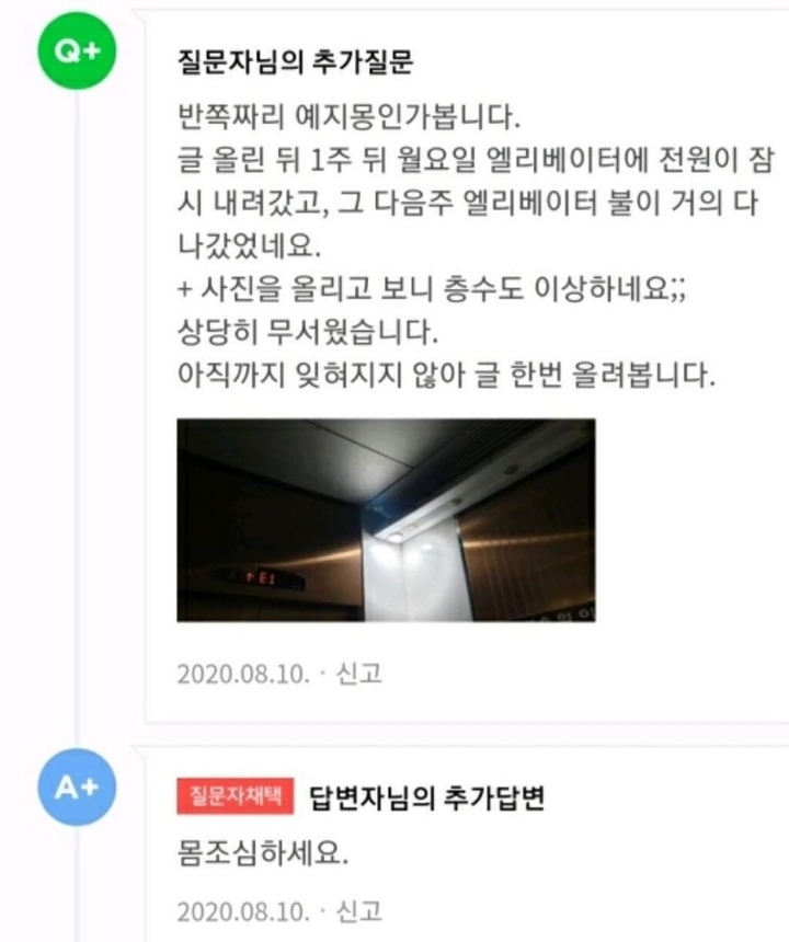 네이버 지식인에서 난리난 예지몽 | 인스티즈