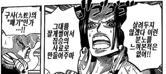 이상하게 원피스 팬들에게 저평가 받는 캐릭터 | 인스티즈